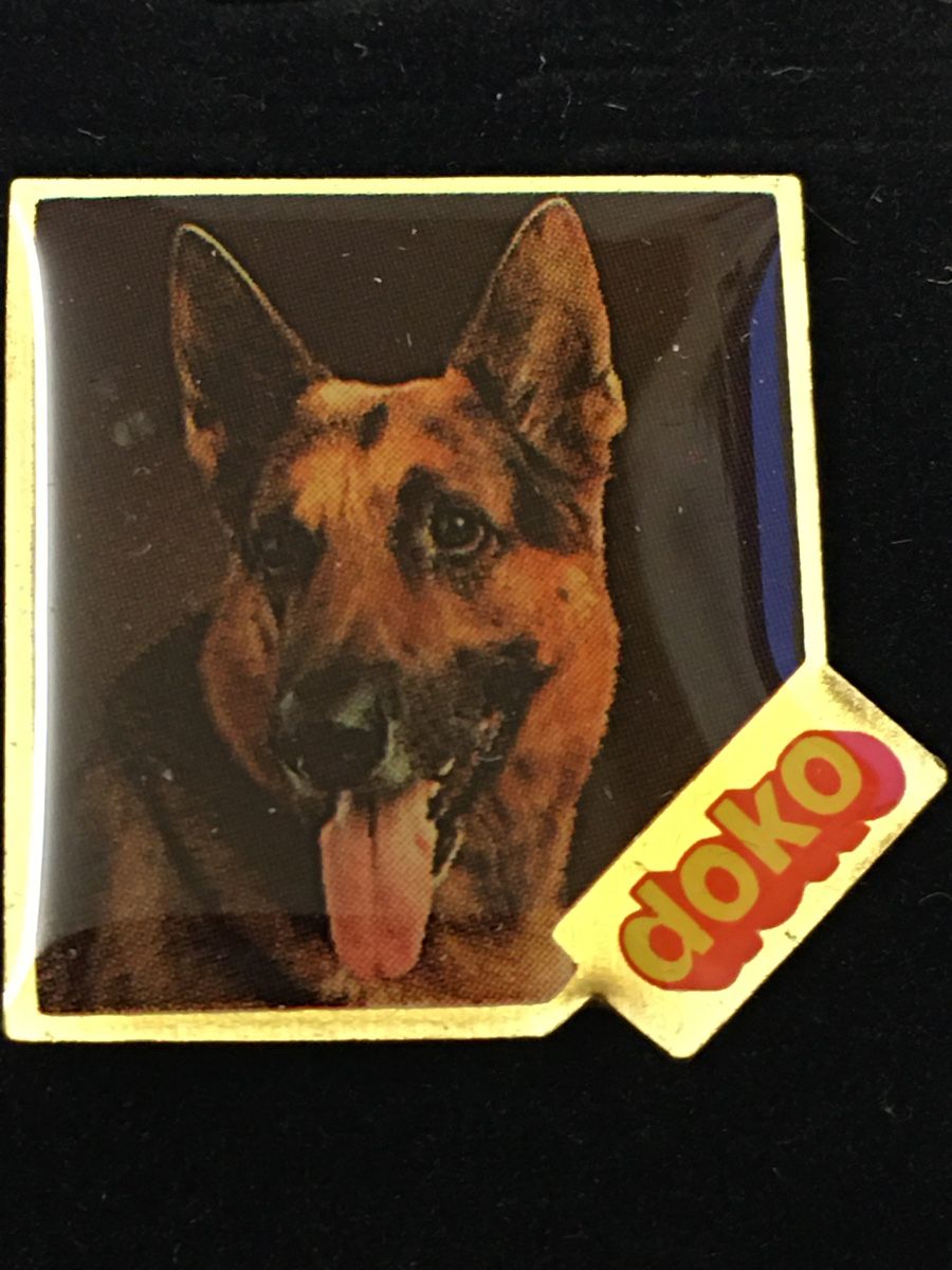 Plaketten & Abzeichen: PIN - Sammlung „doko“ – Gebraucht aus Wangen b. Olten von Finolino28 4