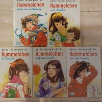 Kinderbuch 5 Bände Hummelchen