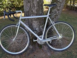 Tigra Rennvelo Klassiker XL, revidiert, Shimano 105