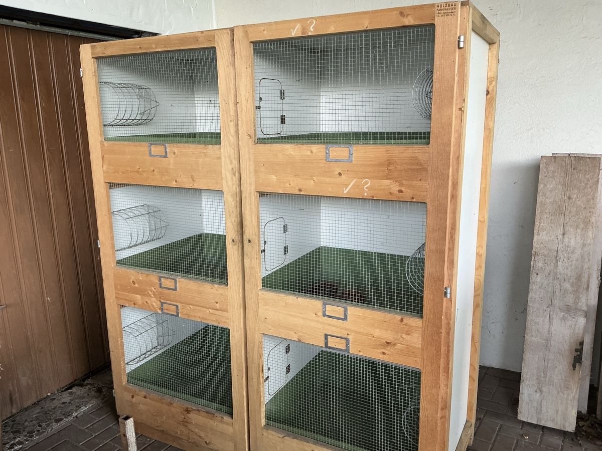 Cages, transport & sécurité: Kaninchen Stal  – D'occasion à Neuendorf par huw_z5jt