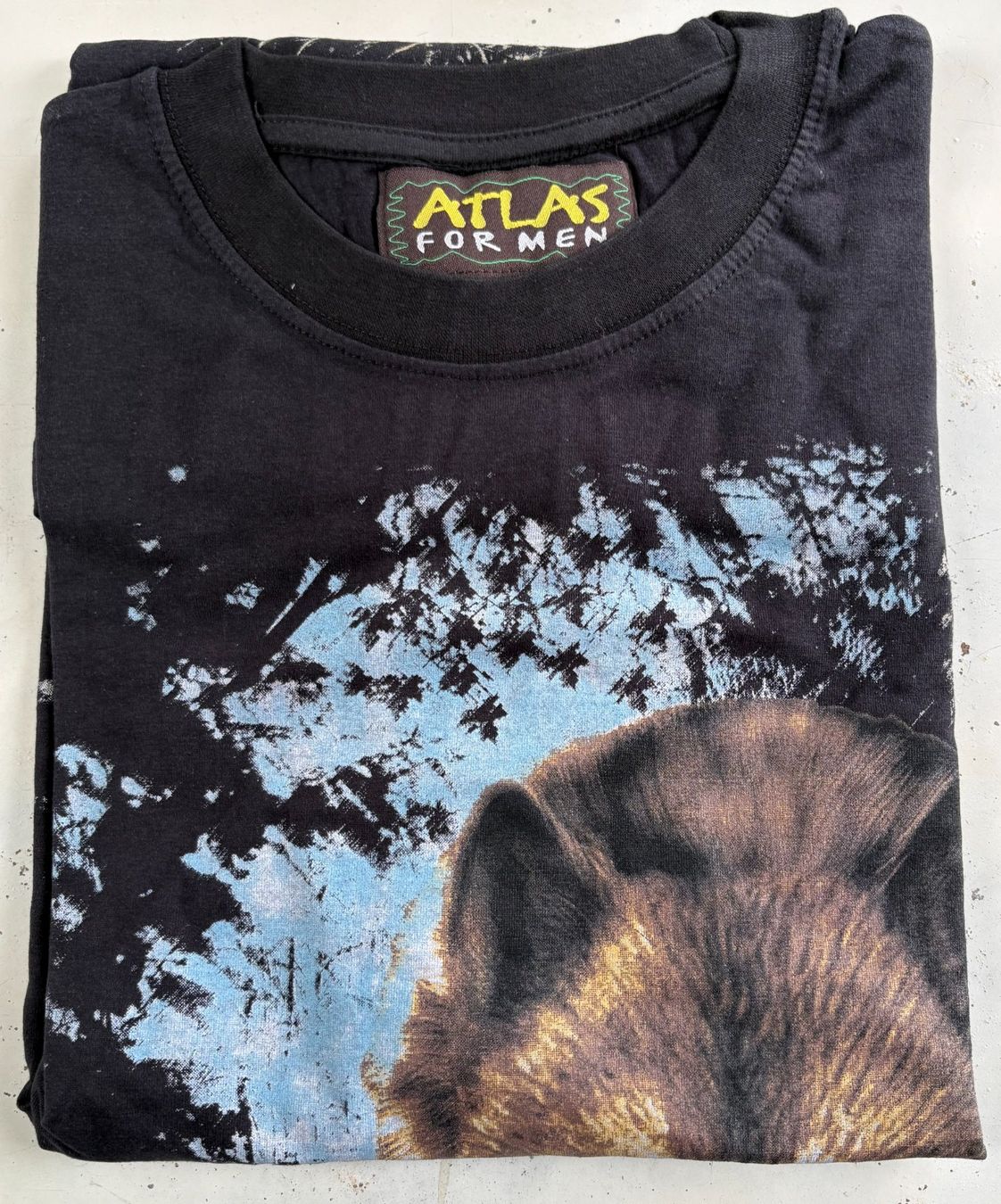 Maglioni & Felpe: RUNDKRAGEN-PULLOVER NEU & ORIGINALVERPACKT XL – Nuovo e nell'imballaggio originale da Ostermundigen venduto da wini63 1
