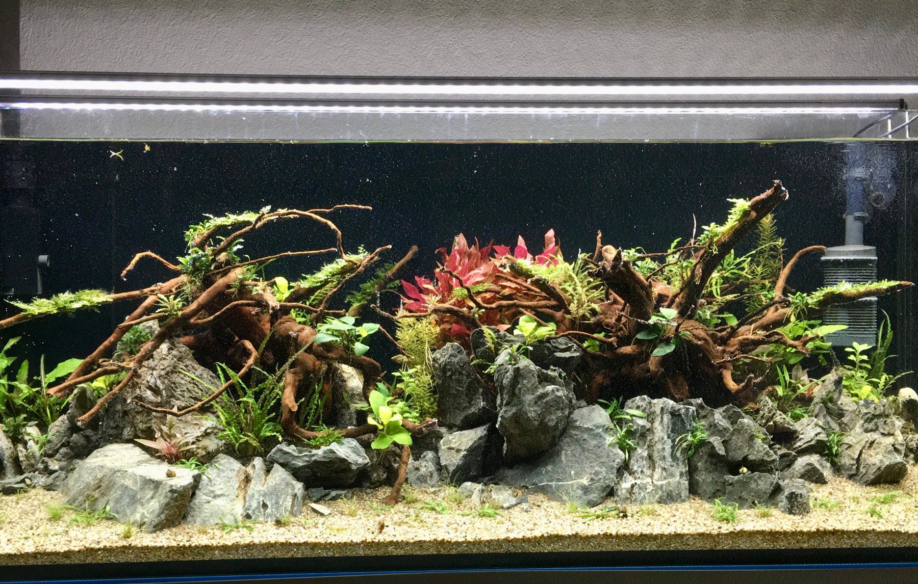 Eheim Acquari: Aquarium Eheim Incpiria 430 – Usato da Arbon venduto da Rasch70 1