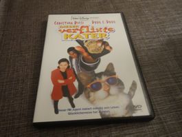 Dieser verflixte Kater DVD WALT DISNEY