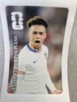 Anton Robinson USA Panini Coca-Cola Sammelbild WM 2026