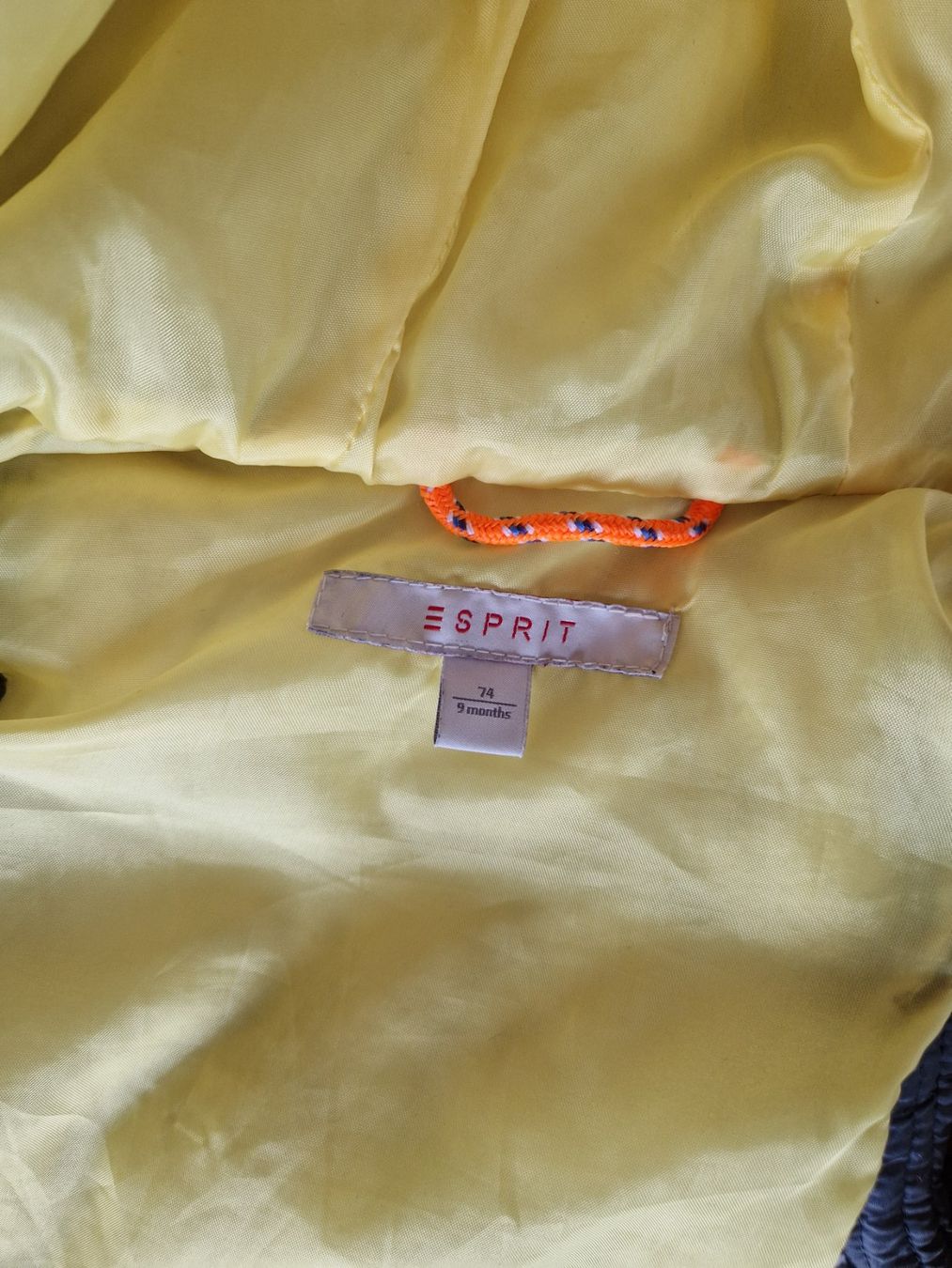 Esprit Altro abbigliamento: Esprit Baby Gilet Grösse 74 – Usato da Dreien venduto da vaniih93 1