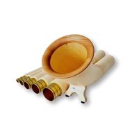 Alphorn RIEGER Fly Wood Fichte 6-teilig Tonart Fis/Ges