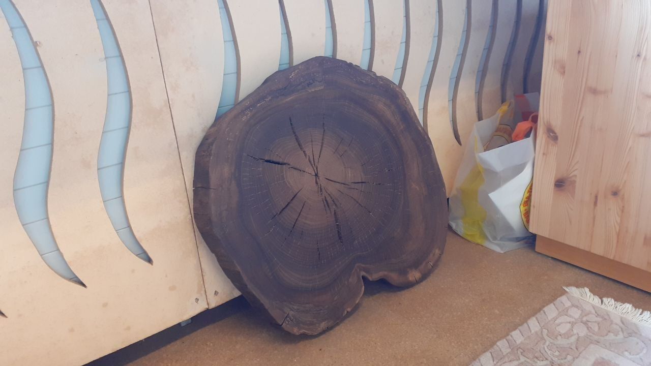 Articoli in legno: Arvenhose mit Gürtel – Nuovo (secondo la descrizione) da Jona venduto da Josefdobler 8