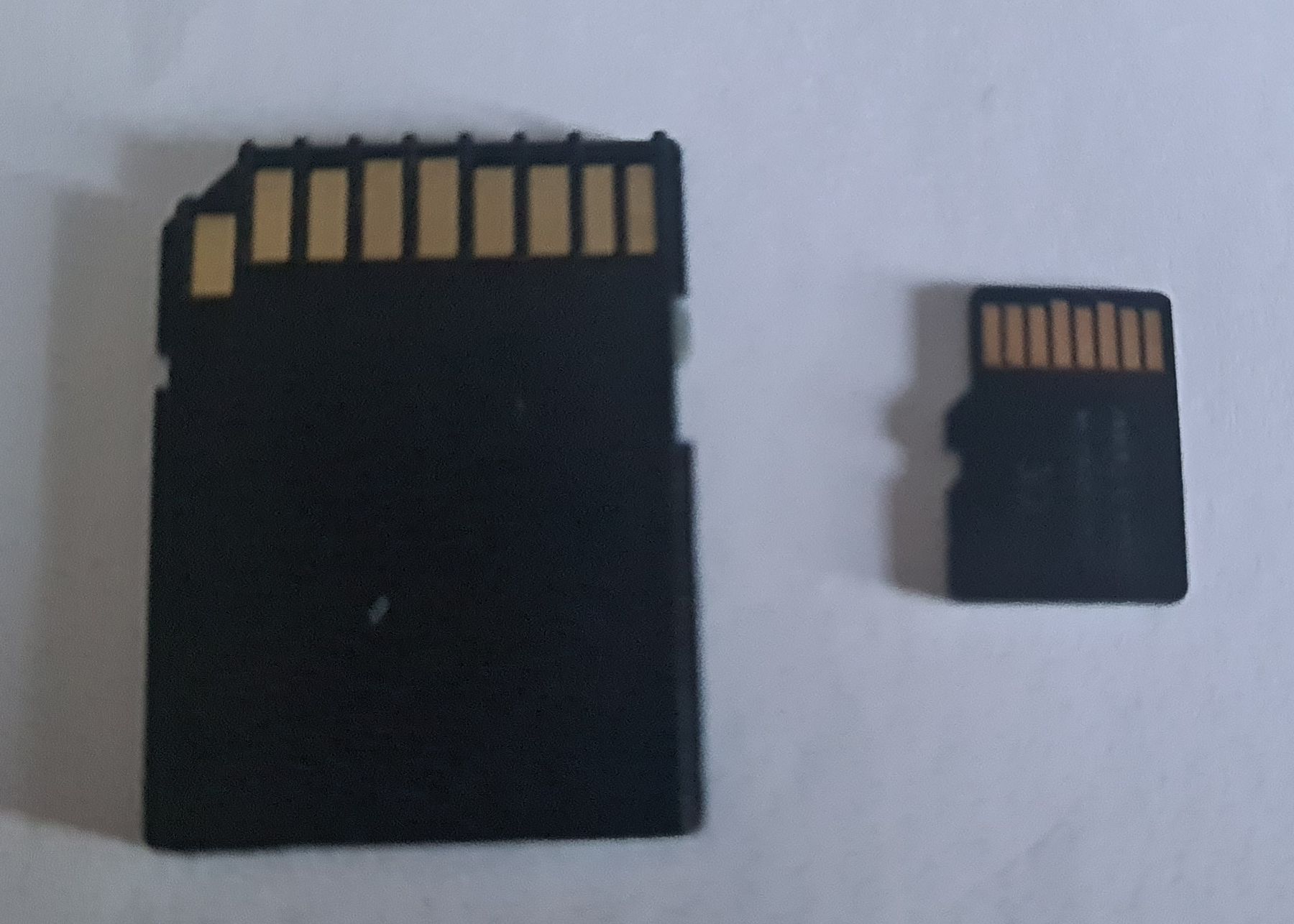 Sandisk Lettori di schede: adaptateur SD card – Usato da Mézières VD venduto da M.Lapin 2