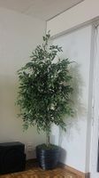 Ficus Baum künstlich 3 Stk