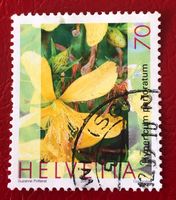 Nr.1073 Echtes Johanniskraut Pflanzen GESTEMPELT 2003    