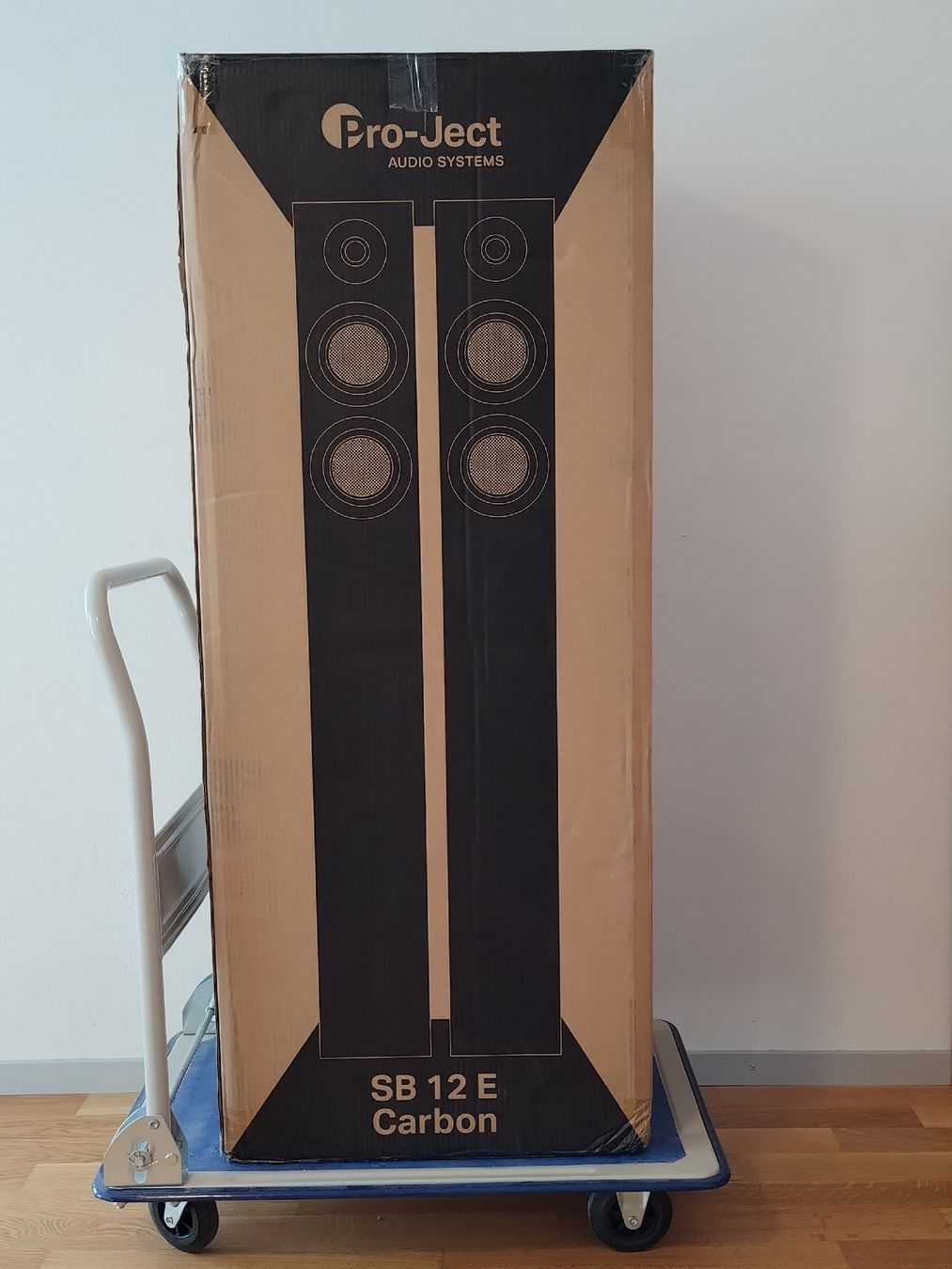 Pro-ject Casse acustiche: Pro-Ject SB 12 E Carbon – Usato da Cham venduto da tuttipaletti 7