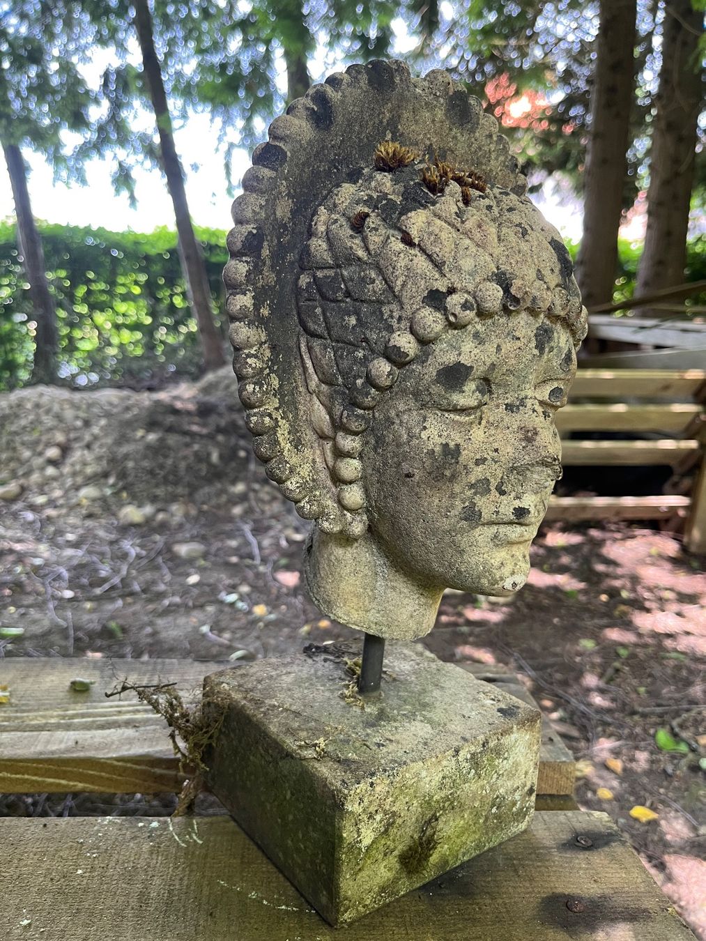 Statuette: Gartendekoration, Skulptur, Kopf, Figur – Usato da Oberentfelden venduto da Fabianbeboux 1