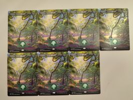 MTG Forest 1 foil and 6 non foil