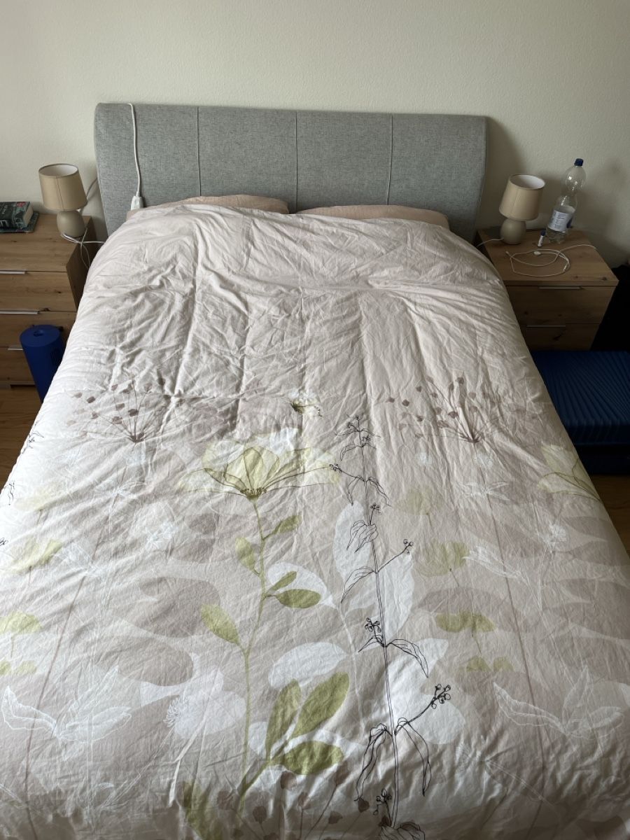 Letti: Boxspringbett – Usato da Dallenwil venduto da Cornefroggii
