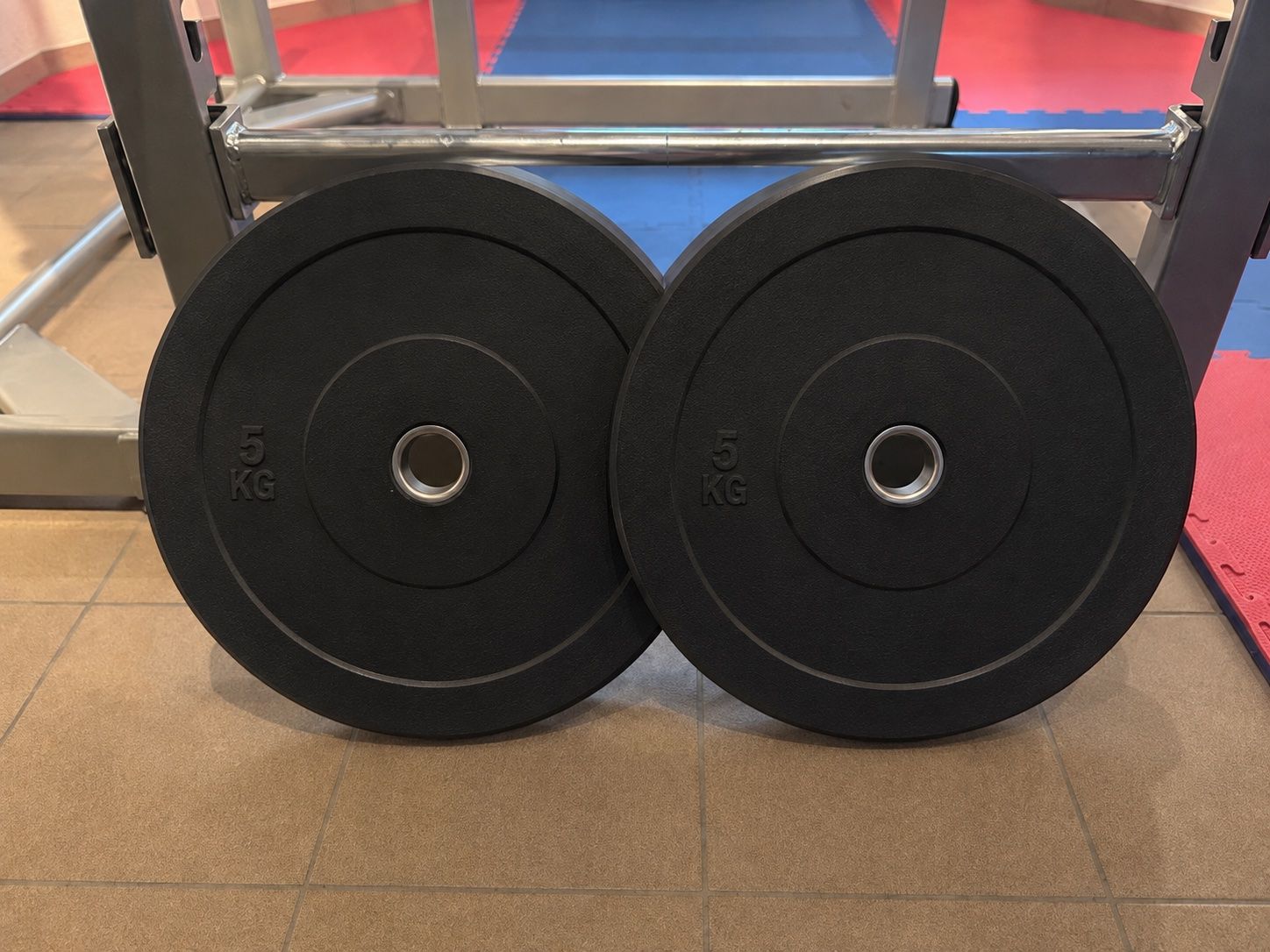Manubri & Pesi: Hochwertige Bumper Plates 2× 5kg – Usato da Brugg AG venduto da SealD.Man 2