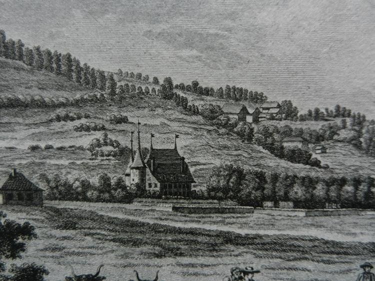 Incisioni: Vue du château Riggisberg – Usato da Risch venduto da Rischli15 9