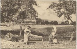 LANDWIRTSCHAFT/BRAECHETE 1911 Aargau
