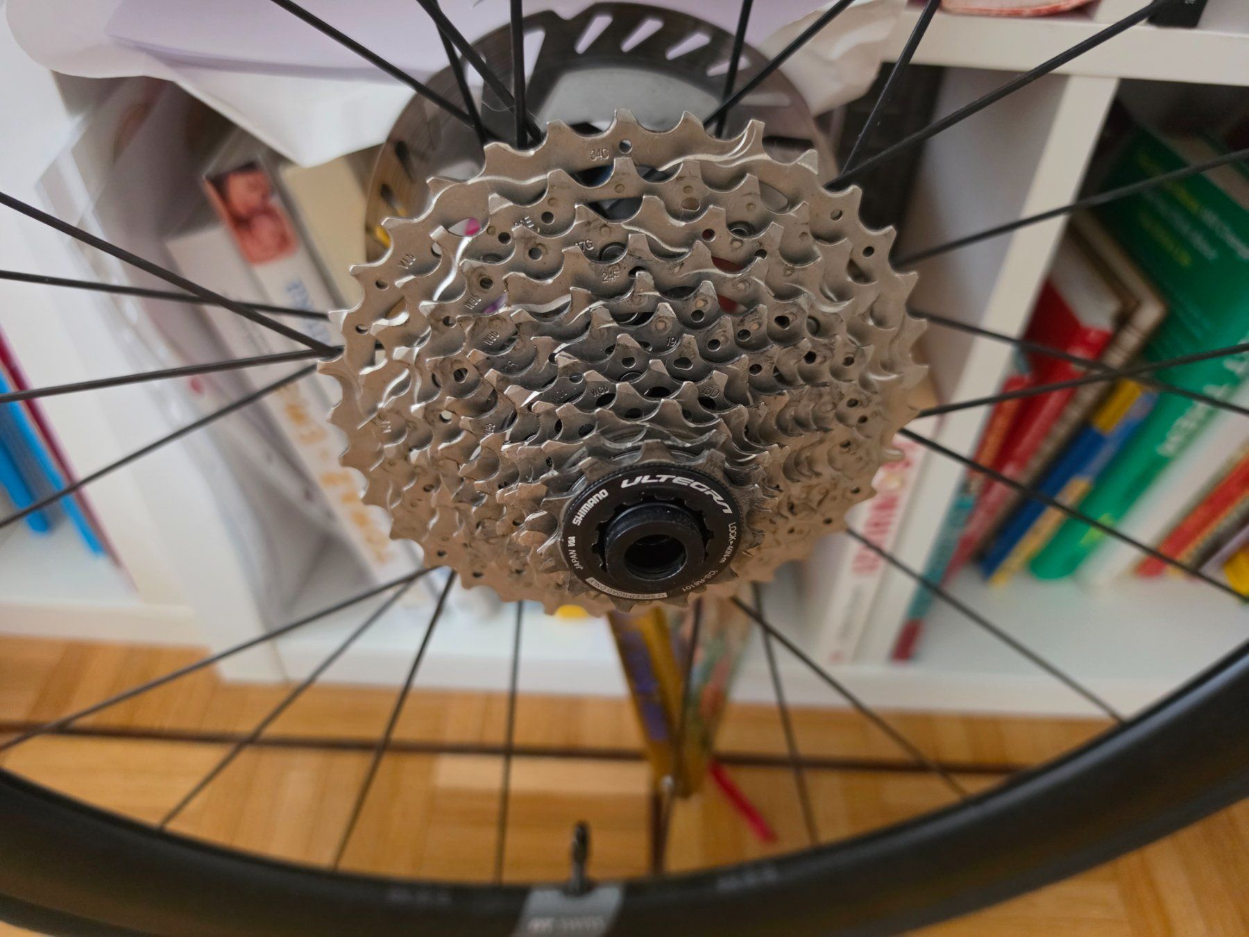 DT Swiss ARC 1600 SPLINE 50 – paire de roues carbone + GP500 (D ...