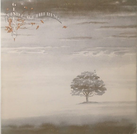 Dischi in vinile: Genesis – Wind & Wuthering (LP) – Usato da Grüningen venduto da azulgrisvinyl