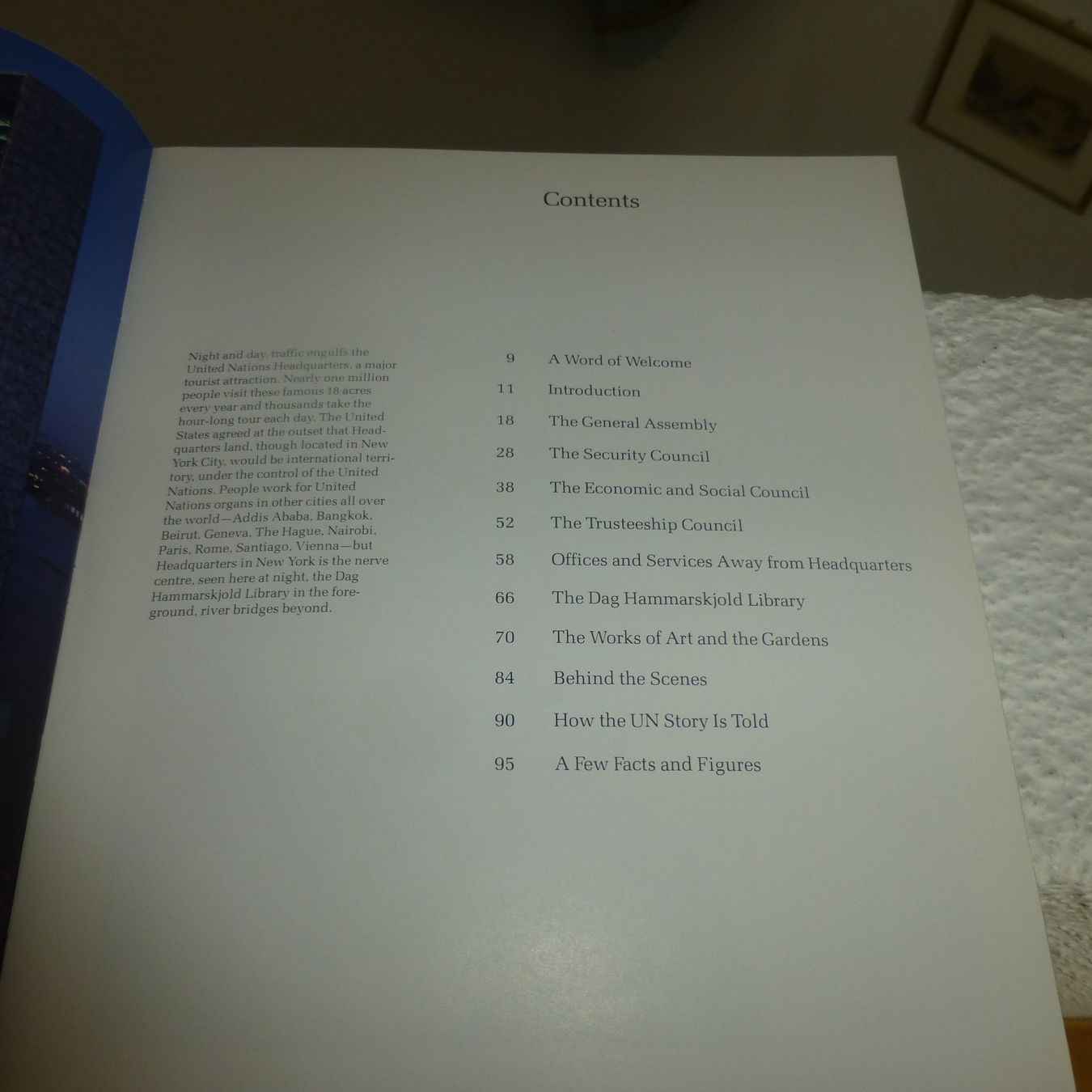 Libri: Your United Nations Guidebook – Usato da Hergiswil NW venduto da annettelia 2