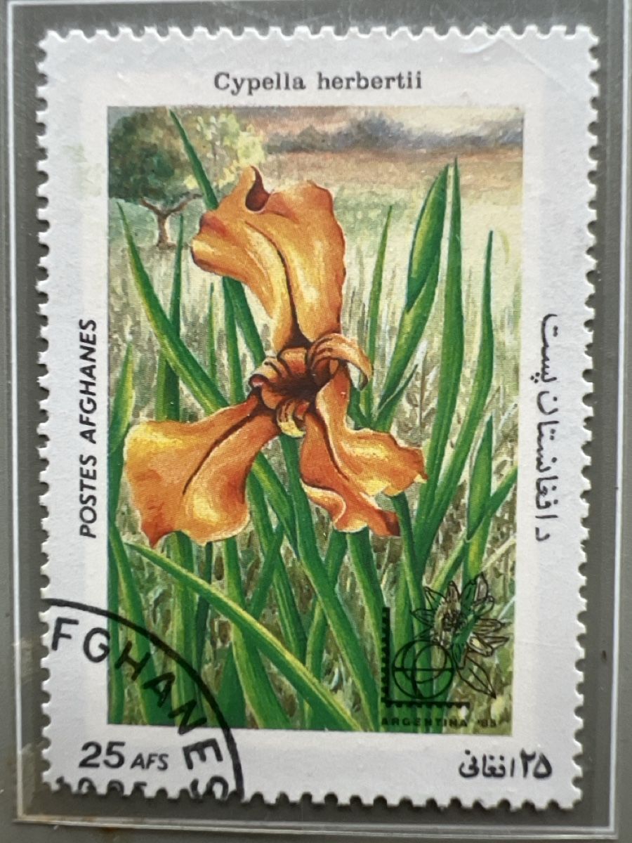 Tutti i francobolli: Briefmarken Afghanistan 1985 – Usato da Glattbrugg venduto da Artos67 6