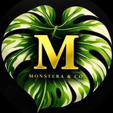 Profile image of Monstera-und-Co.