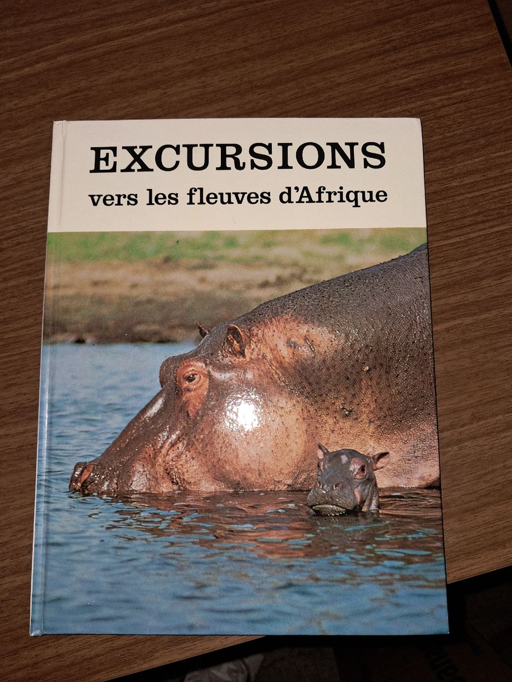 Libri: Excursions vers les fleuves d'afrique – Usato da Le locle venduto da juliensaran
