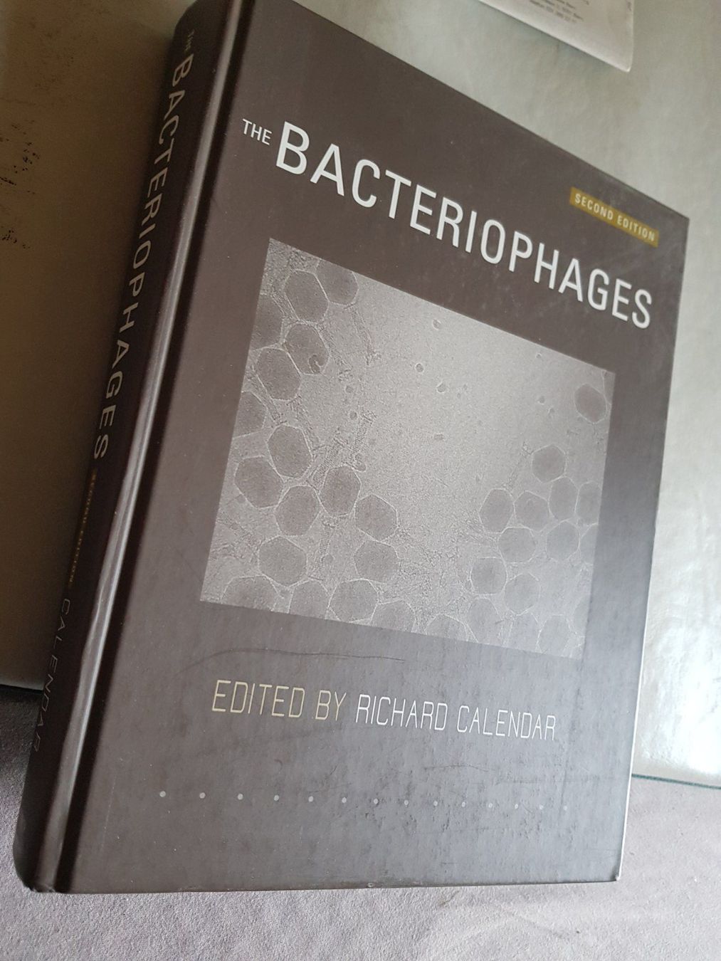 Libri: The Bacteriophages - Richard Calendar - 2. Edition - 2006 – Usato da Walterswil BE venduto da Lonitti 9