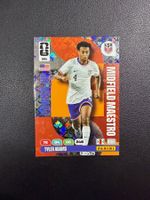 Panini FIFA World Cup 2026 Tyler Adams 584