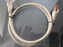 Wirewin Câble patch RJ-45, Cat 6, SSTP, 1 m, Gris