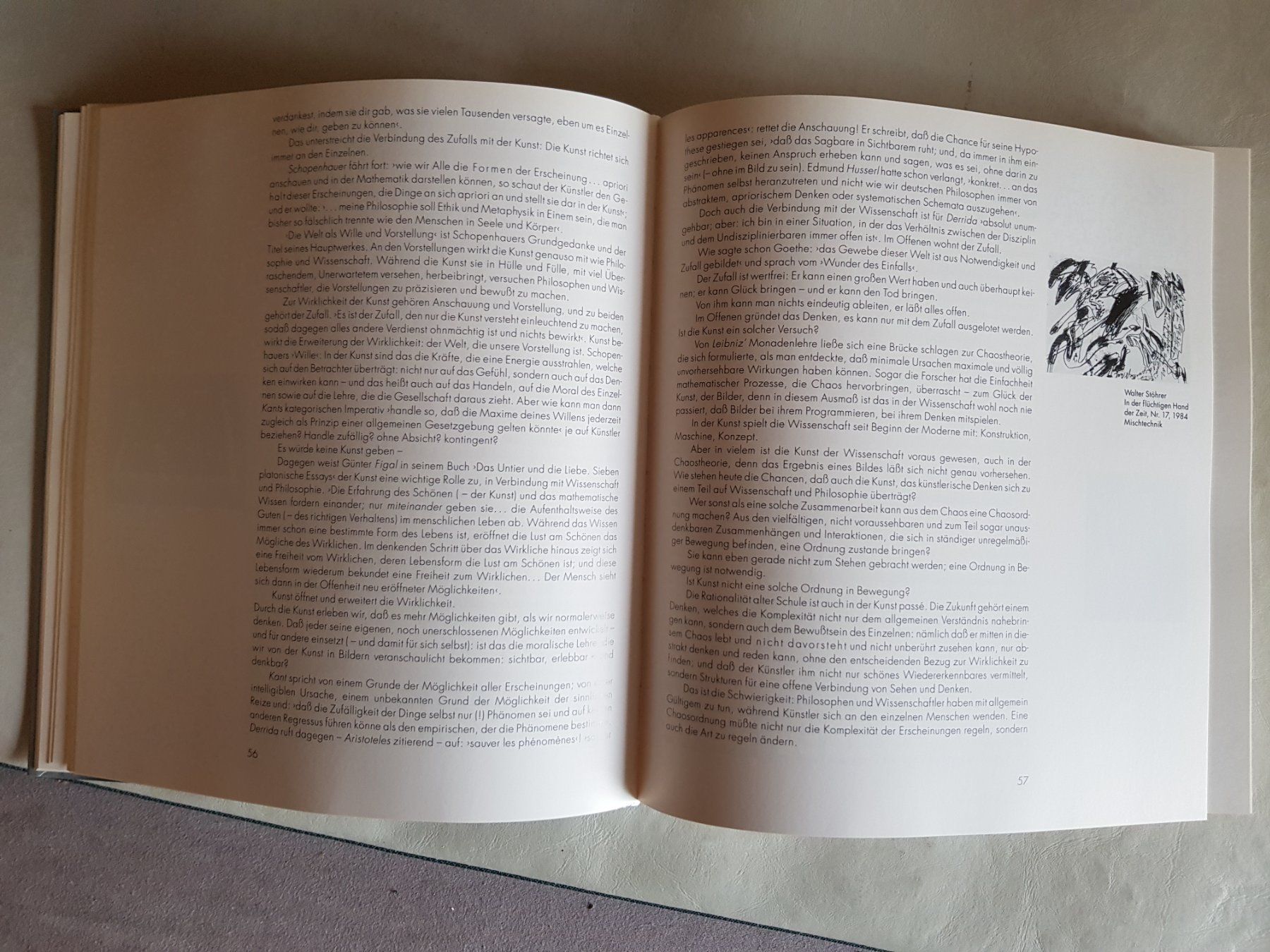 Libri: Buch Zufall als Prinzip - Edition Braus -1992 – Usato da Walterswil BE venduto da Lonitti 7