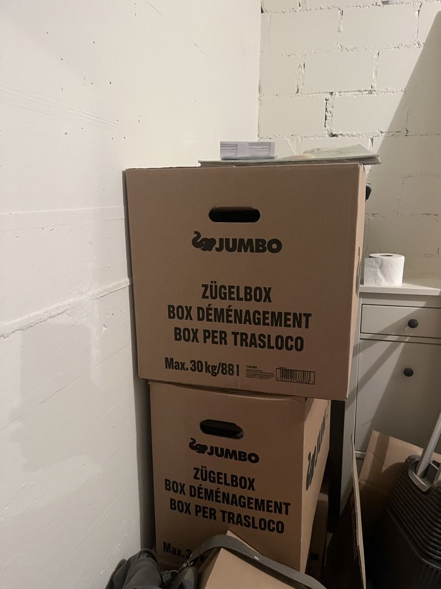 Cartoni: Umzugskartons – Usato da Zürich venduto da jor_7b9g 1