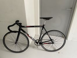 Vélo piste fixie