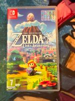 The Legend of Zelda Link's Awakening Nintendo Switch