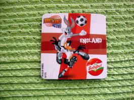 England Fussball Kühlschrankmagnet