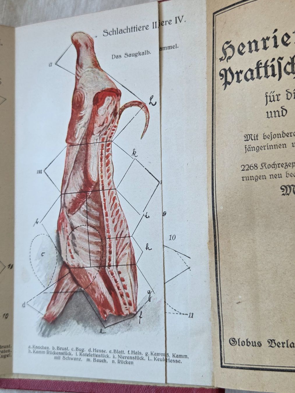 Bücher: Antikes Kochbuch  Davidis Kochbuch ca 1920 – Gebraucht aus Bettingen von Wedgetail-Eagle2 5