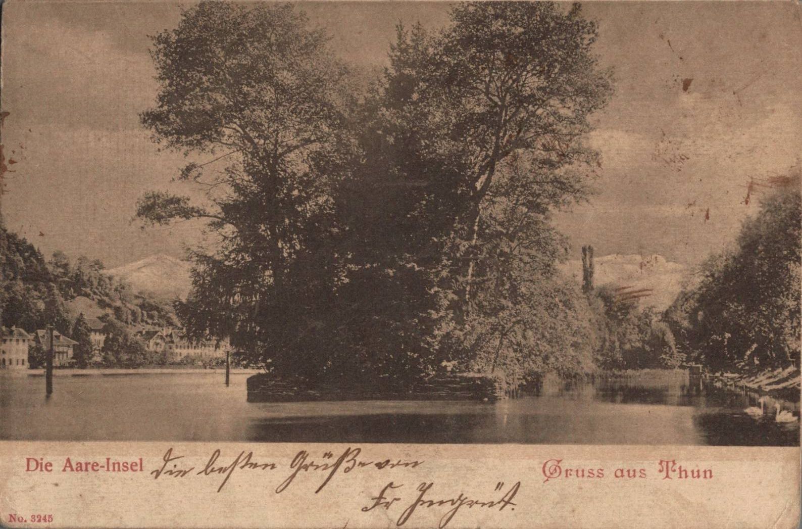 Cartes postales: Alte Ansichtskarte Aare-Insel Thun 1906. – D'occasion à Luzern par Kartenansicht