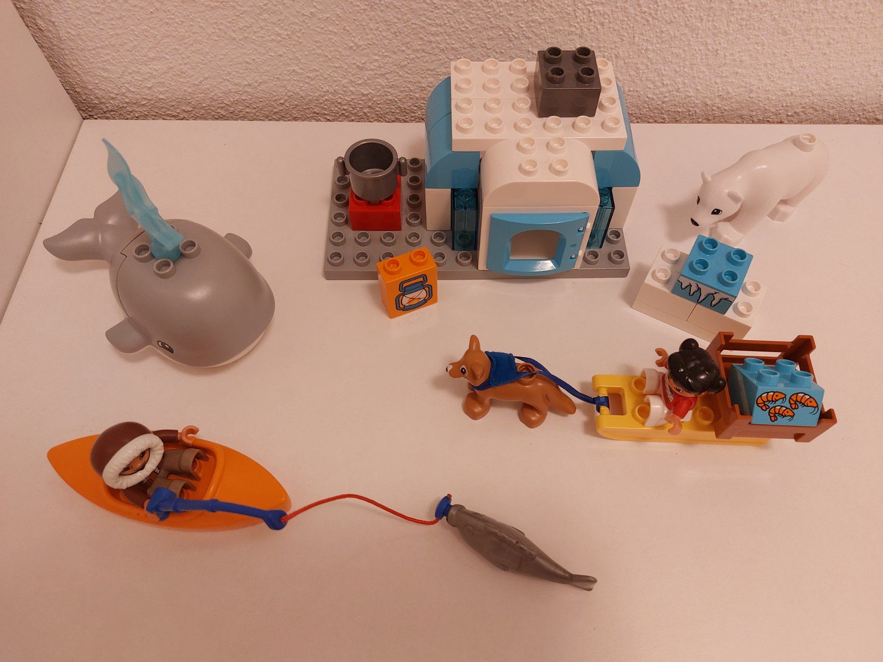 Lego Giocattoli: LEGO Duplo 10803 Arktis – Usato da Balterswil venduto da Steineparadies 4
