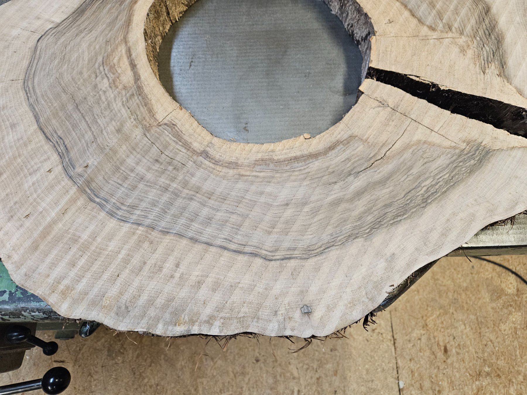 Articoli in legno: Nussbaum Holz Baumscheibe – Nuovo (secondo la descrizione) da Schangnau venduto da egli6.2 6