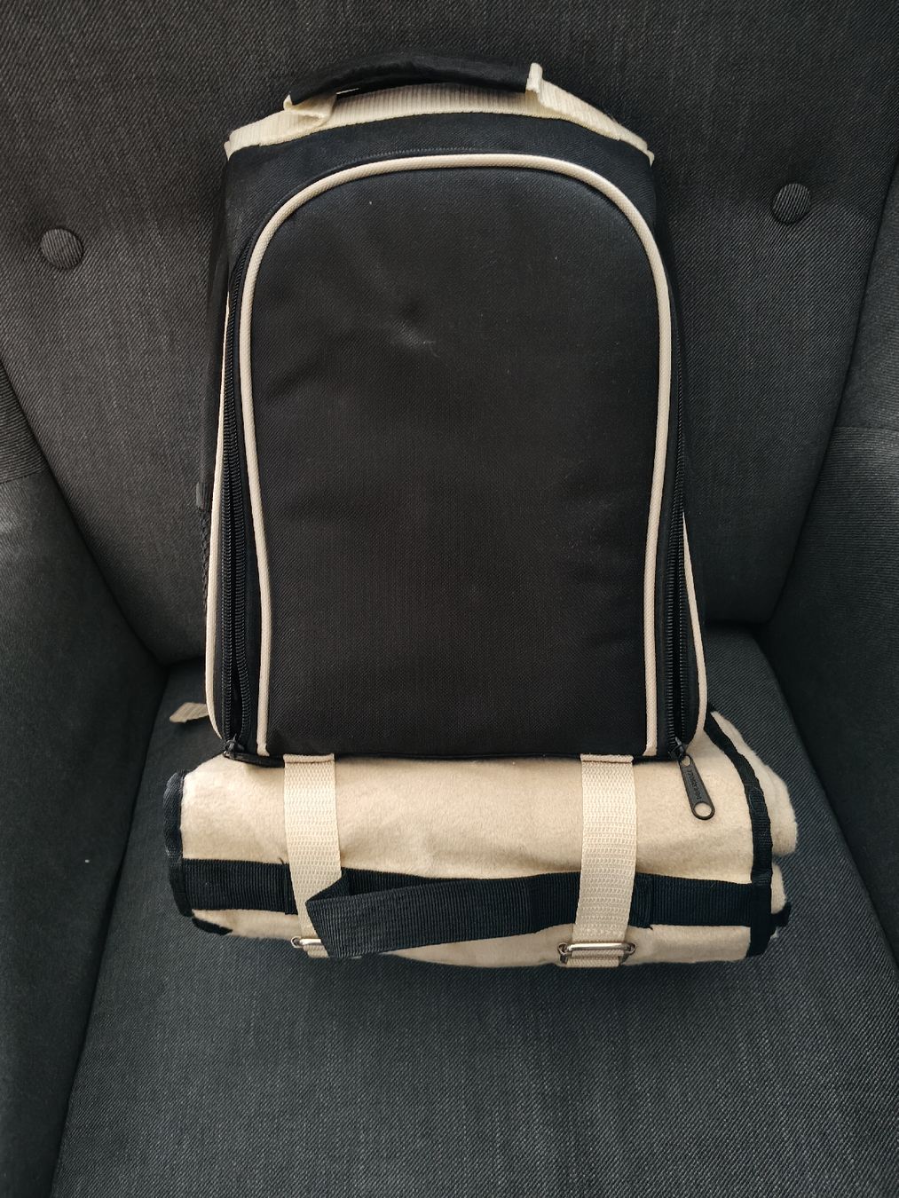 Zaini: Picknick-Rucksack – Nuovo (secondo la descrizione) da Madiswil venduto da ala_rvk8 1