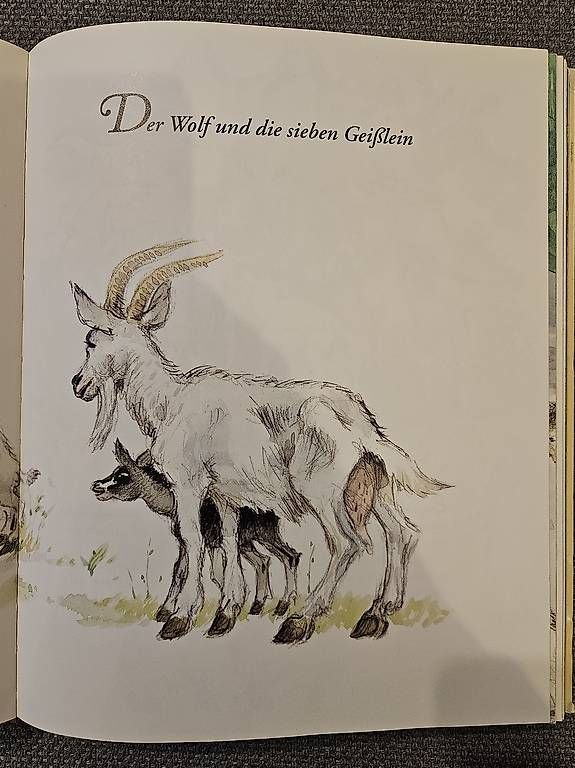 Libri: Die schönsten Märchen der Gebrüder Grimm – Usato da Herrenschwanden venduto da banmacabu 2