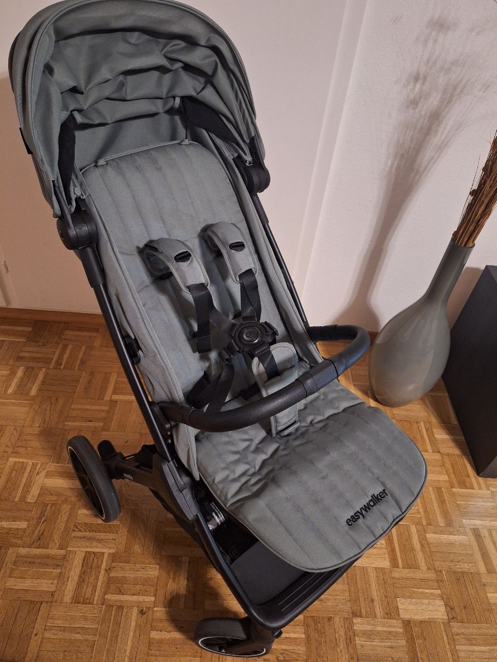 Easywalker Carrozzine: Easywalker Buggy Jackey 2 XL-agave green NEU – Nuovo (secondo la descrizione) da Urtenen-Schönbühl venduto da jne_mvm7