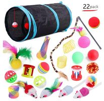 22-teiliges Katzenspielzeug Set inkl. Spieltunnel | Neu