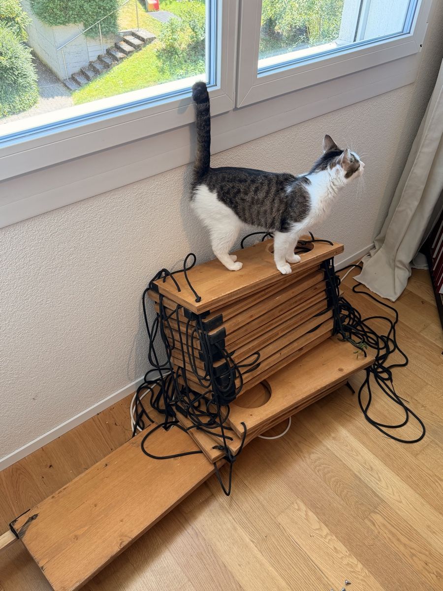 Scale: Faltkatzenleiter – Usato da Lyss venduto da tadomikaaa