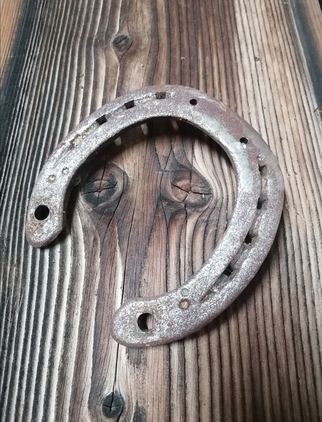 Altro in Accessori per animali: 2 Hufeisen – Usato da Bütschwil venduto da fredi1970