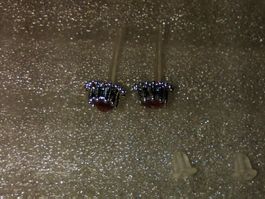 OHRRINGE MODESCHMUCK,,,MIT ECHT KRISTALL,,,GLANZIG