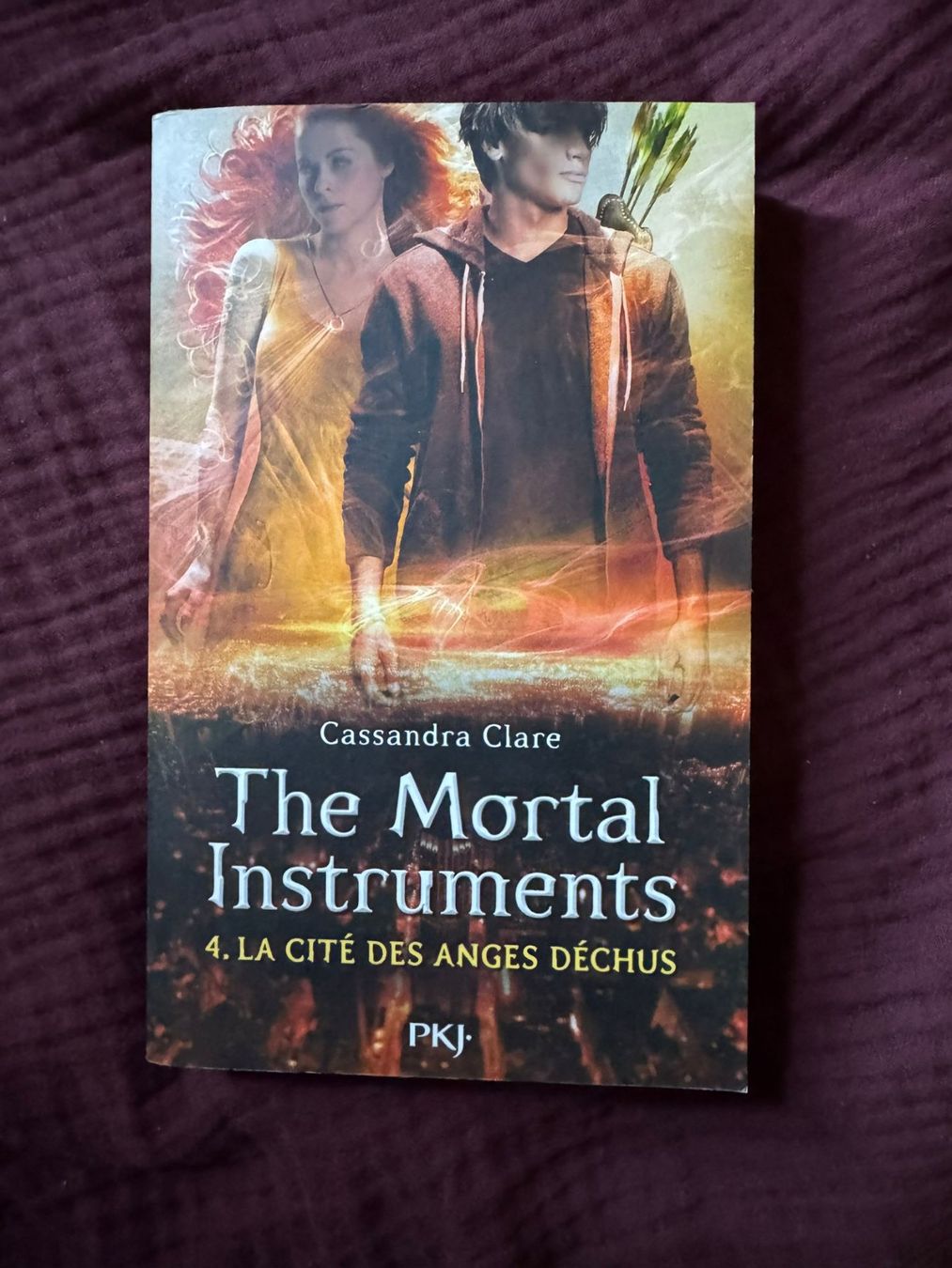 Livres: The Mortal Instruments - Tom 4 - Cassandra Clare – D'occasion à Genève par adrianito34