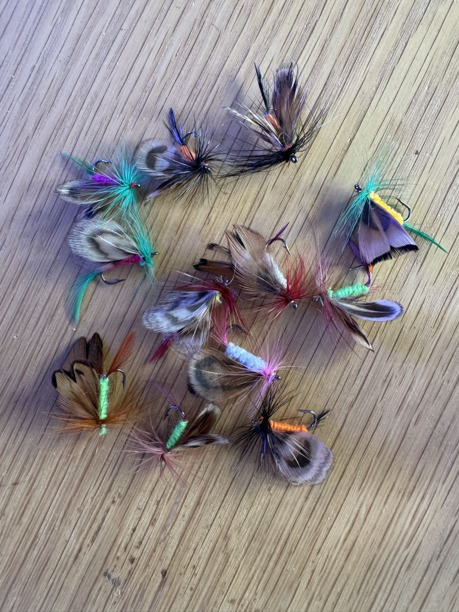 Esche: 12 Nymphen zum Fliegenfischen – Nuovo e nell'imballaggio originale da Dübendorf venduto da FlyfishShop