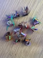 12 Nymphen zum Fliegenfischen