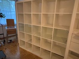 Regal Expedit (neu Kallax) Ikea